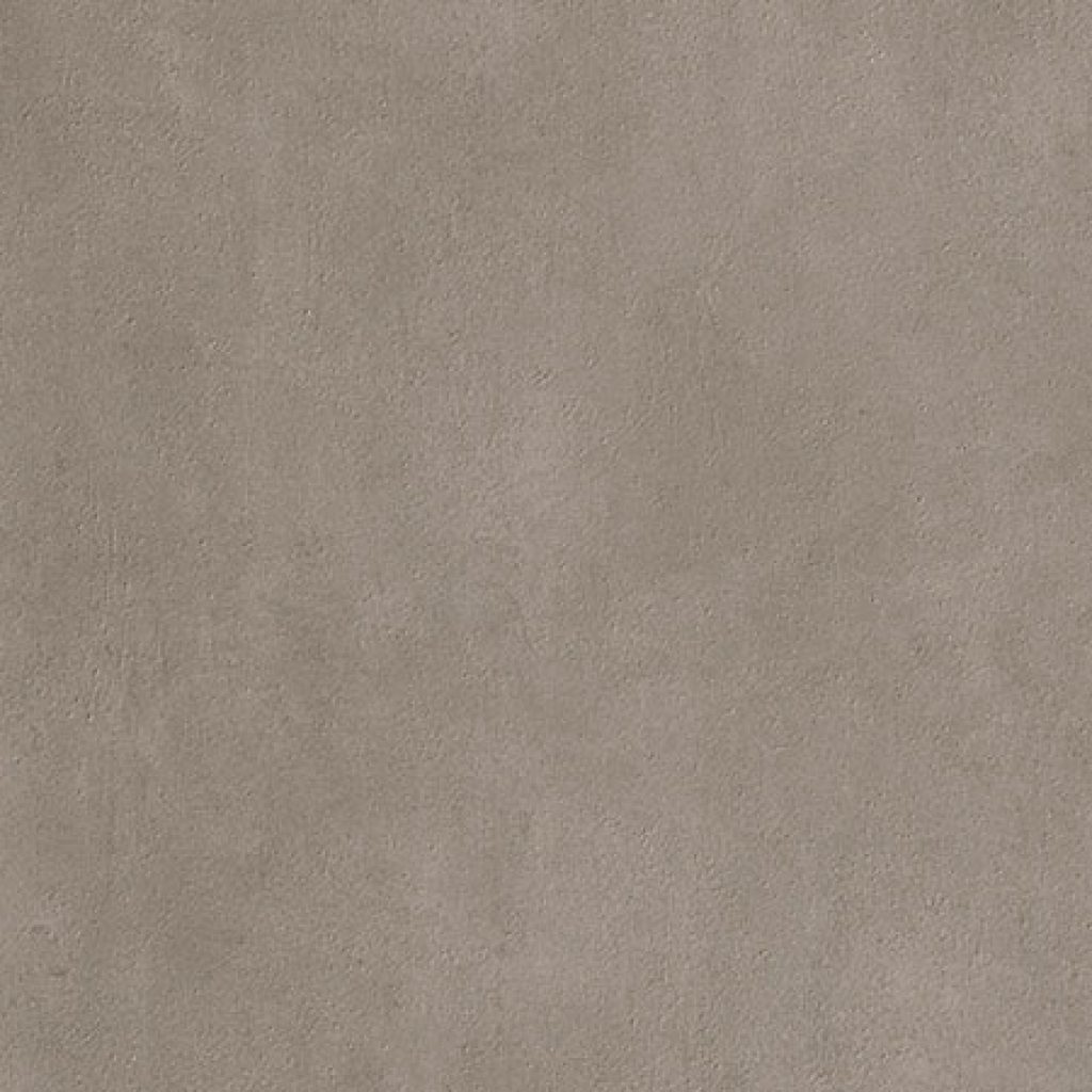 tortora_1